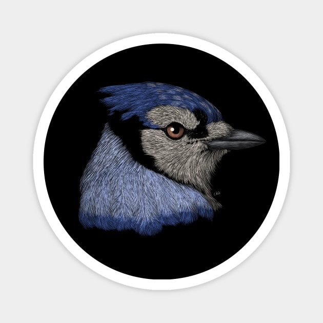 Blue Jay Magnet by Walking in Nature